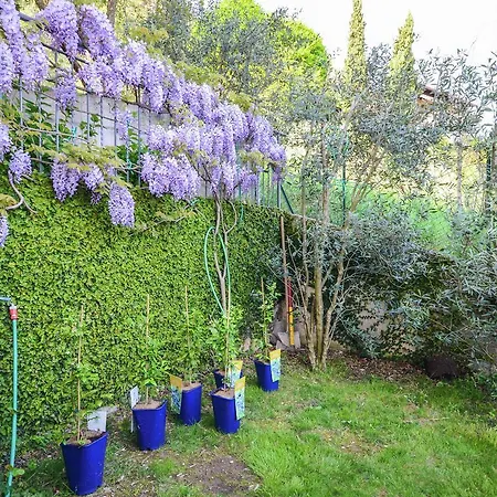 Profumo Di Rose Primo Apartament